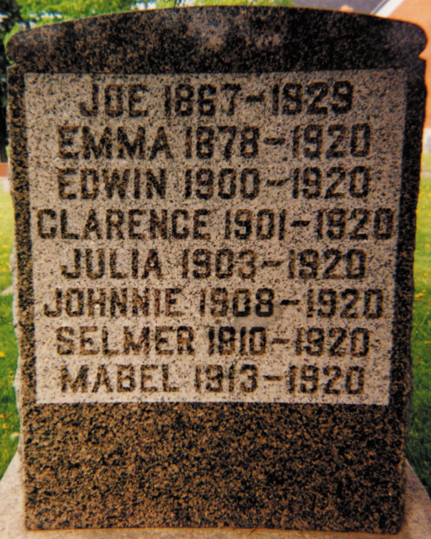 Norwegian-American family lost seven members in one week from a more virulent form of the 1918 influenza, by Deb Nelson Gourley, B.S., M.S.