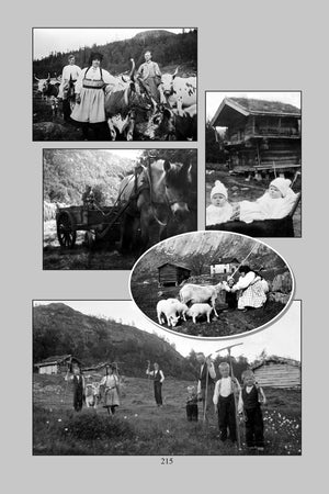 Legend of Siljatjern Seter: Life, love and faith on a Norwegian mountain dairy by Gunlaug Nøkland