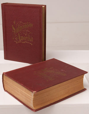 Norwegians in America, their History and Record (years 1825-1913), Volume 3 by Martin Ulvestad